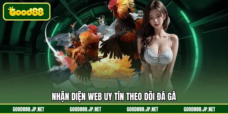 Nhận diện web uy tín theo dõi đá gà 