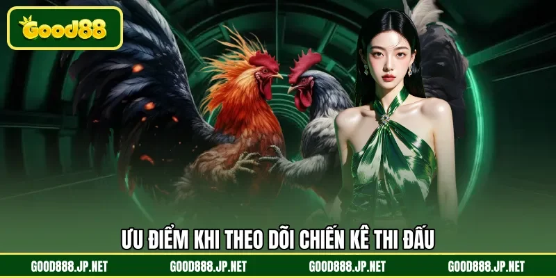 Ưu điểm khi theo dõi chiến kê thi đấu 